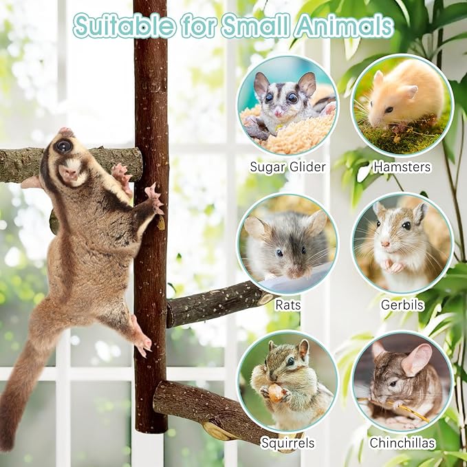 BNOSDM Sugar Glider Toy Natural Fruitwood Perch Stand Squirrel Hanging Wooden Climbing Pole Hamster Paw Grinding Perch Small Animal Cage Accessories for Chinchillas Rats Gerbil