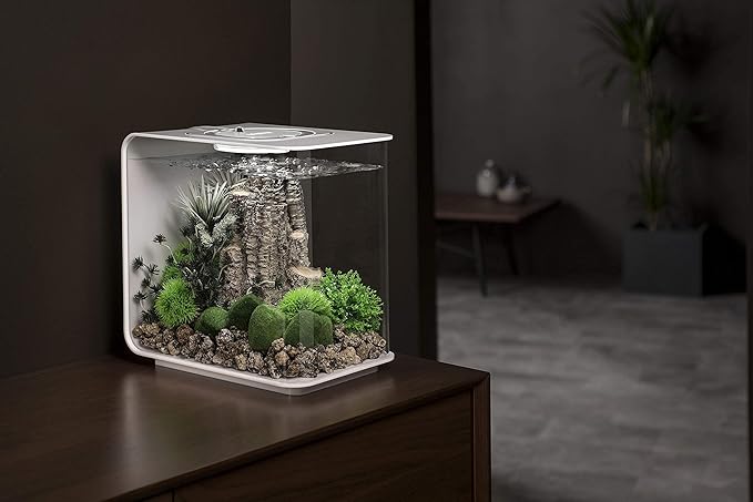 biOrb Flow 15 Acrylic 4-Gallon Aquarium with Multi-Color Remote-Controlled LED Lights Modern Compact Tank for Tabletop or Desktop Display, Black