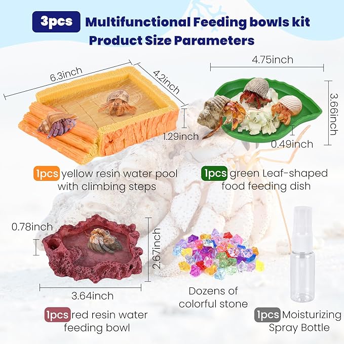5 Pack Hermit Crab Water Pool Hermit Crab Food Bowl Dish Reptile Terrarium Water Bowls Reptile Starter Kits Accessories for Hermit Crab Leopard Gecko Frog Spider Lizard Turtle Bearded Dragon etc