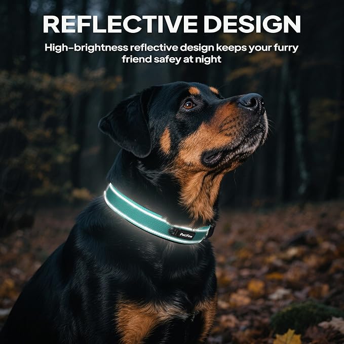 PetiFine Dog Collars for Medium Dogs, Neoprene Padded and Adjustable, Reflective Wide Heavy Duty Pet Collars with Durable Metal Belt Buckle for Walking, Teal, M