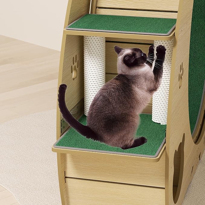 GarveeLife Cat Exercise Wheel for Indoor Cats, Cat Treadmill with Bowls, Scratch Post & Detachable Carpet, Large Quiet Cats Running Wheel for Kitties Endless Fun & Fitness Wood Color