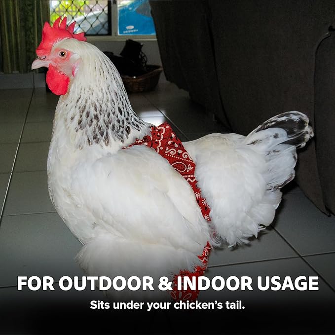 Hen Holster Bikini Diaper, Bird Diaper & Harness for Hens, Roosters, Ducks - with Removable Vinyl Liner, Adjustable Fit for Outdoor Adventures & Indoor Use - Easy to wear - S/M, Red Bandana