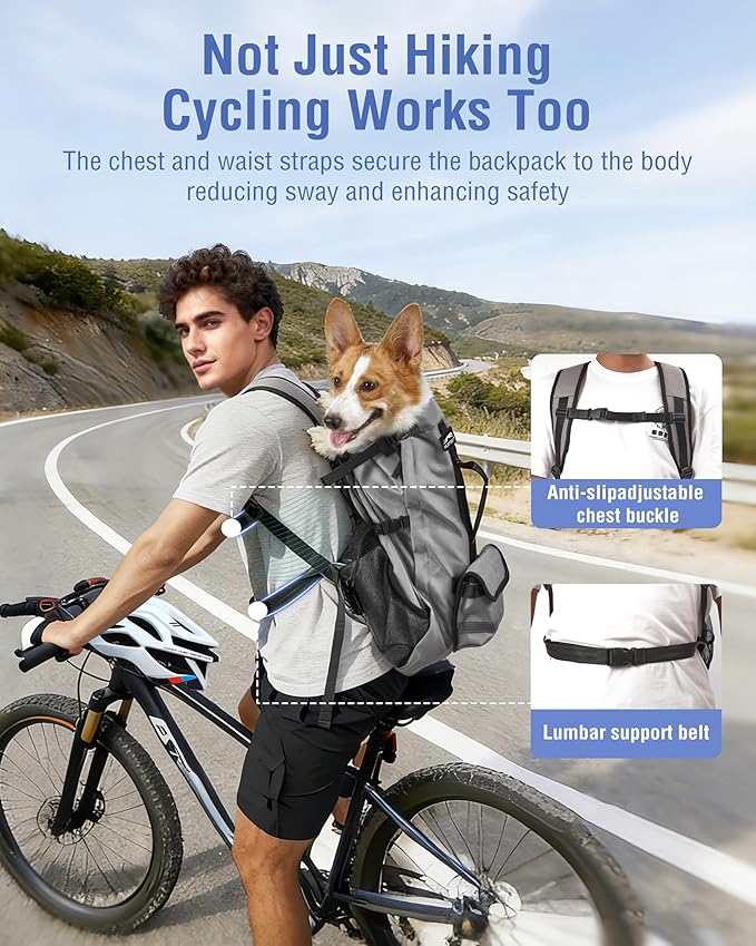 Dog Backpack for Small & Medium Dogs – 4-Layer Safety Pet Carrier with Thick Shoulder Straps, Detachable Waist Bag, Breathable Mesh & Storage Pockets for Travel & Hiking