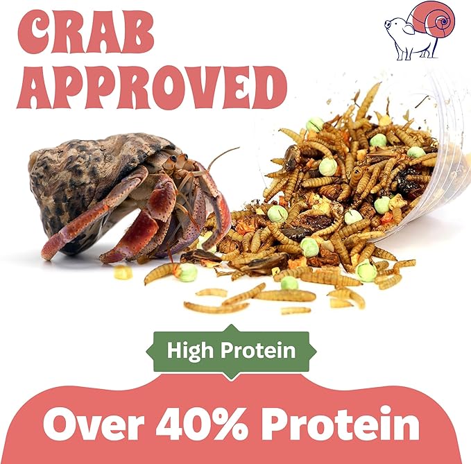 Crabby Bug Blend Natural Hermit Crab Food – Crickets, Mealworms & Sprouted Veggies – 28g – Snout and Shell