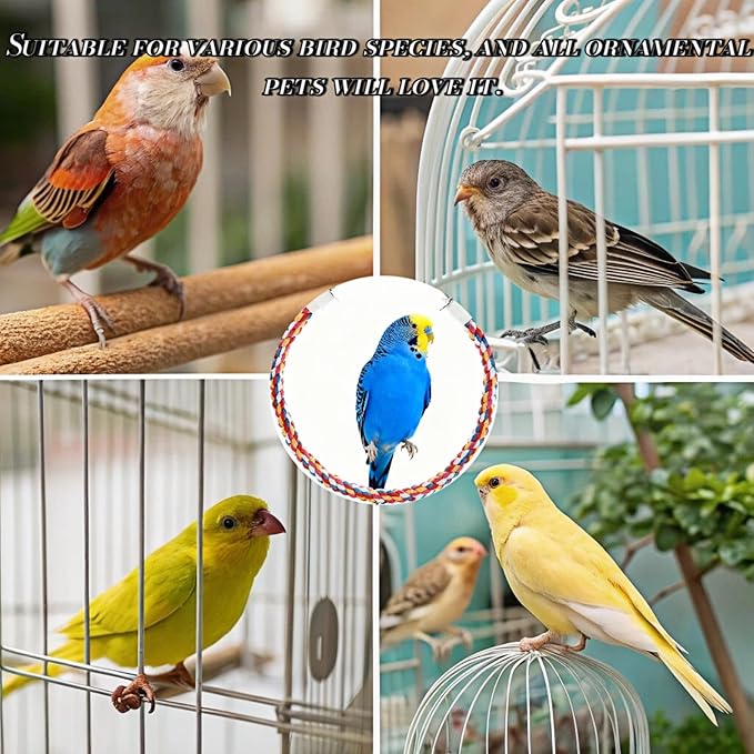 Bird Rope Perches, Parrot Toys, Bungee Rope Perches for Parrots, Cockatiels, Parakeets, Budgie Cages Comfy Birds (Metal Nut) - 33.46 inches