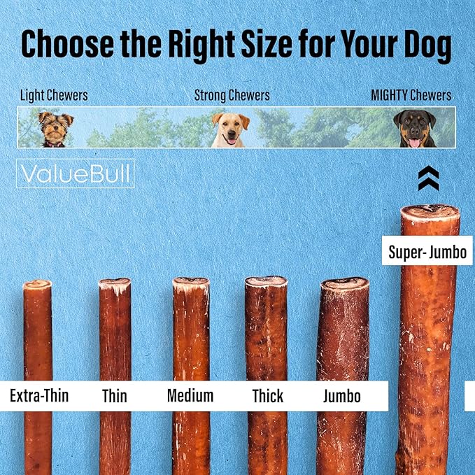 ValueBull Bully Sticks for Large Dogs, Super Jumbo 6 Inch, 10 Count - All Natural, Grass Fed, Single Ingredient, Long Lasting Dog Treats for Aggressive Chewers