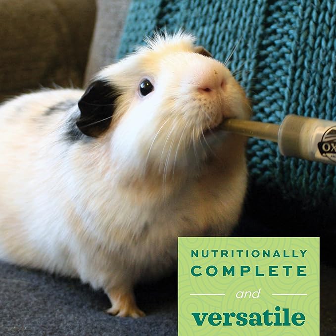 Oxbow Critical Care Herbivore, Emergency Guinea Pig Food, Rabbit Food for Recovery, Made with Timothy Hay, Anise Flavor, Veterinary Formula, Critical Care for Guinea Pig Emergency Kit, 141 gram bag