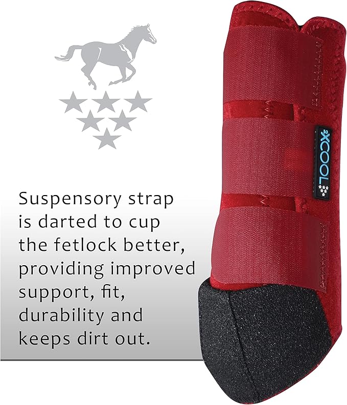 Professional's Choice 2XCOOL Sports Medicine Horse Boots | Protective & Breathable Design for Ultimate Comfort, Durability & Cooling in Active Horses | 2 Pack
