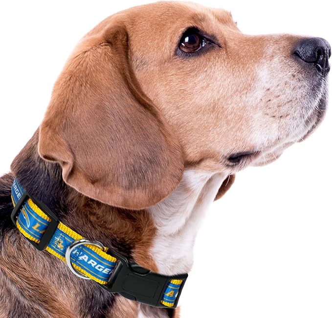 NFL Los Angeles Chargers Dog & Cat Collar, X-Large Football Team Collar - Shiny & Colorful, Licensed by The NFL