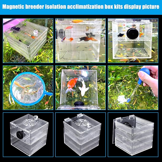 Magnetic Fish Breeder Box for Isolation Boxes Acclimation Hatchery breeding Incubator for Guppy Baby Betta Shrimp Saltwater Clownfish Coral Anemones Aggressive or Injured Fishes