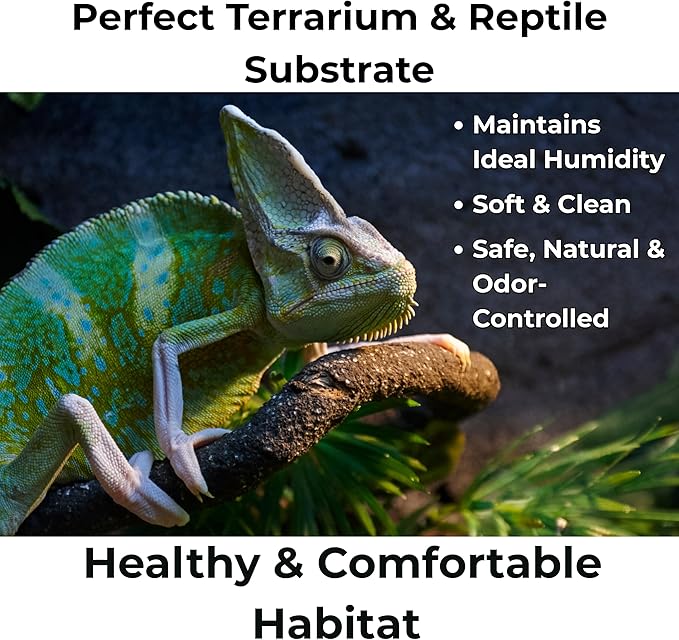 Peat Moss for Plants – Organic Sphagnum Peat Moss for Orchids, Terrariums, Seed Starting, Reptiles & Potting Soil Mix (15 quarts)