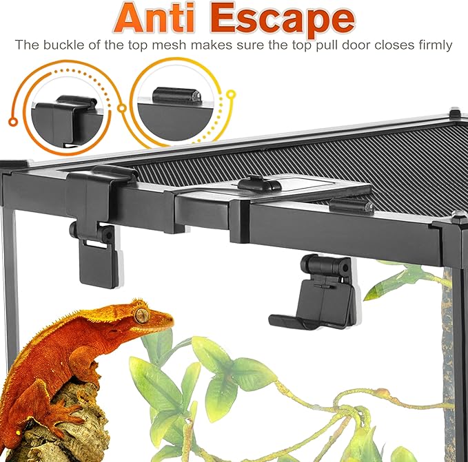 Mini Reptile Glass Terrarium Vivarium 12'' x 8'' x 6'' Full View Tank Small Amphibians Glass Habitat Cage with Feeding Slot & Box Lock Buckle