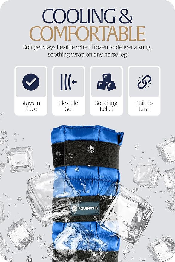 Equinavia Cool Relief Therapy Ice Boots Leg Wraps for Horses, Gel Pack with Adjustable Straps | 16.5" x 15.5" Single - Royal Blue - Single - One Size
