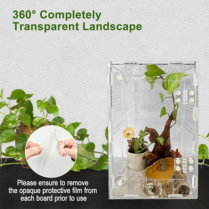 Acrylic Jumping Spider Enclosure Box: 10x6x6 Inch Transparent Habitat with Ventilation Holes, Escape-Proof Terrarium for Reptile Pet, Easy to Clean & Observe
