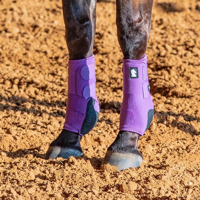 Classic Equine Legacy2 Support Boots, Front