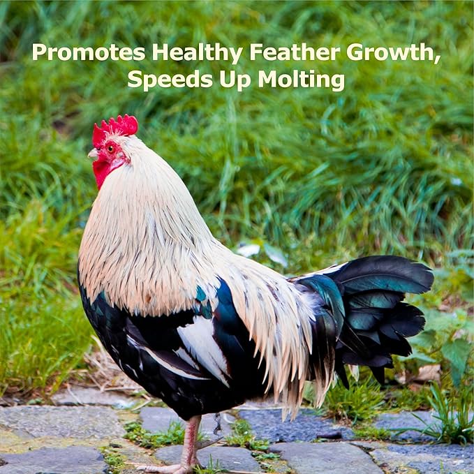 5LB Dried Black Soldier Fly Larvae, More Calcium Than Dried Mealworms, High Protein Chicken Feed,Duck Food, BSFL, Duck Treats