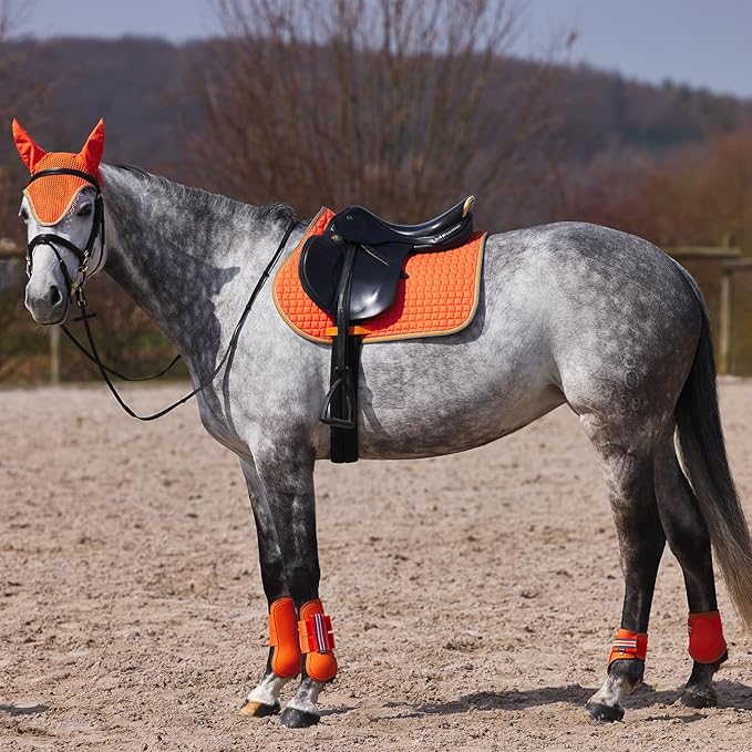 HORZE Adepto Open Front Tendon Boots | Durable Shell with Neoprene Lining - Coral Gold - Horse