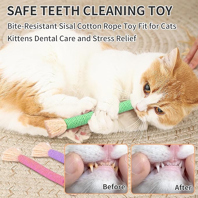 Retro Shaw 6Pcs Kitten Toys, Cat Toys Chew Ropes with Refillable Natural Catnip, Safe Teething Cleaning Kitty Toys for Indoor Cats, Christmas Interactive Pet Nip Kicker Toy