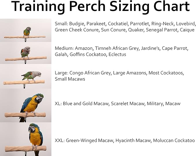 Parrot Training Perch Stand with Potty Tray (T Perch Hardwood, Large)
