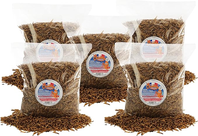 Chubby Dried Mealworms 10 lbs – Premium EU-Grown Non-GMO Protein Treats for Chickens, Ducks, Wild Birds & Reptiles – High-Protein Chicken Feed Snack for Laying Hens