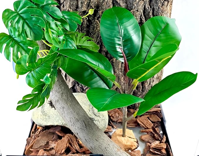 Woyrise Reptile Plants for Terrarium, 9" Fake Rubber Tree Ball Python Tank Accessories Habitat Decor fit Crested Gecko Leopard Bearded Dragon Lizard Chameleon Snake - Ficus Elastica Robusta