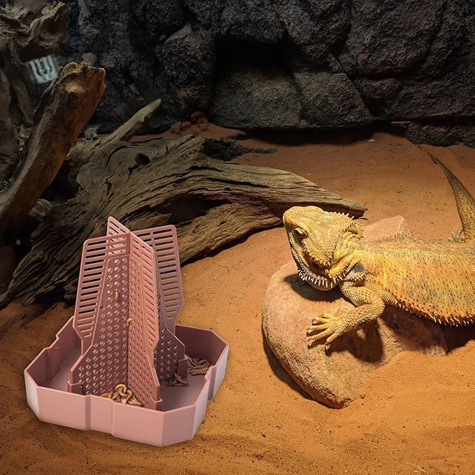Reptile Feeder Bowls with Climbing Ladder for Chameleon,Bearded Dragon,Guardians Hunting Bugs Keep Training Terrarium Bowls for Lizards,Frogs,Geckos Other Small Pets,Brown (Small)