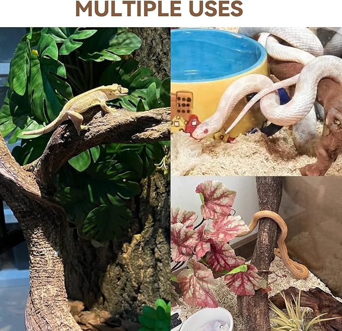 BNOSDM 2PCS Reptile Wood Branches, Snake Climbing Branch, Bearded Dragon Climbing Accessories, Lizard Habitat Decor, Terrarium Tree Trunk Ornament for Gecko Frog Chameleon Spider