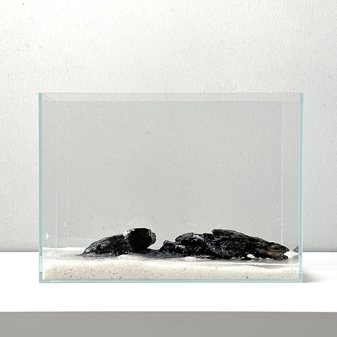Nano Aquarium kit, Small Betta Fish Aquarium, 2.2 Gallon Rimless Glass Fish Tank with Filter, Light, and Aquascaping Decorations (Transparent, Complete)