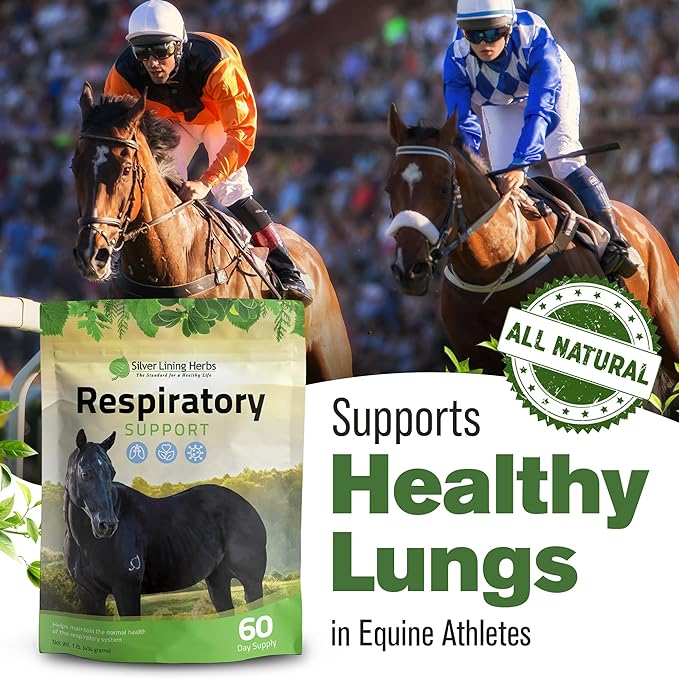Silver Lining Herbs Respiratory Support Supplement for Horses - Horse Supplements for Lung Cleanse & Respiratory Health - Great for Lung Function, Breathing & Clear Airways - 1 lb 60-Day Supply