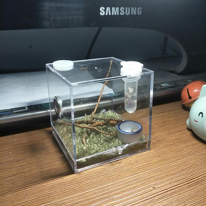 Spider Terrarium, Acrylic Reptile Breeding Box Jumping Spider Enclosure with Dropper Tongs Snail cage, Cricket Enclosure arboreal Tarantula Habitat