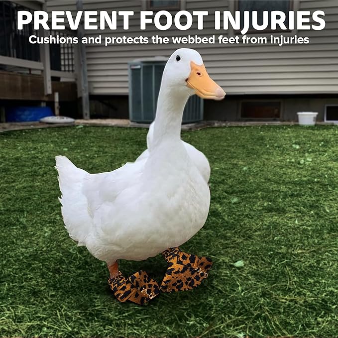 Duck Shoes for Injured Feet – Protective Neoprene Footwear for Ducks, Protective Shoes for Birds with Injured feet, Bumblefoot Relief - XL, 5.75” Max. Inside Width - Leopard