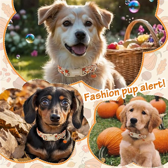 Fall Dog Collar – Halloween & Thanksgiving Dog Collars for Medium Dogs – Soft & Comfortable Autumn Puppy Collar with Quick Release Buckle, Medium Dog Collars for Girl Boy Dogs-M ﻿