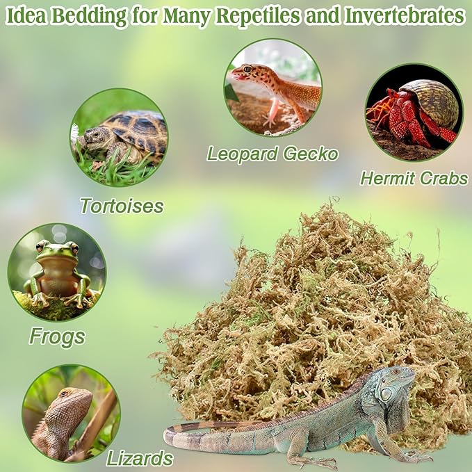 Halatool 3.5OZ Natural Sphagnum Moss for Reptiles Premium Reptile Moss Ideal Terrarium Moss for Box Turtles Hermit Crabs Leopard Gecko Snakes and Hamsters Enclosure
