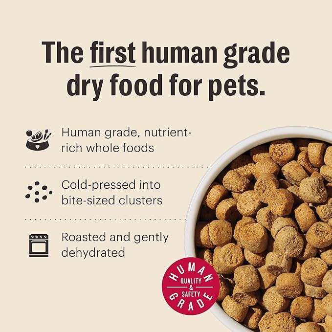 The Honest Kitchen Whole Food Clusters Human Grade Dry Dog Food - Grain Free Turkey 5 lbs
