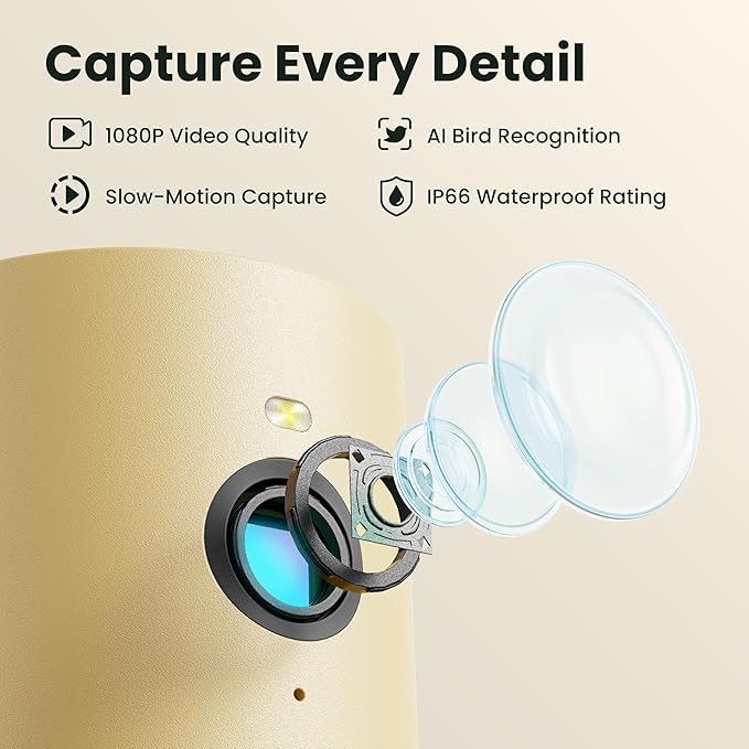 Birdfy Smart Bird Feeder with Camera Solar Powered, Night Insight & Slow-Motion Video for Outdoors & Backyard Birds Watching, AI Identify 6000+ Species by Subscription, Wood