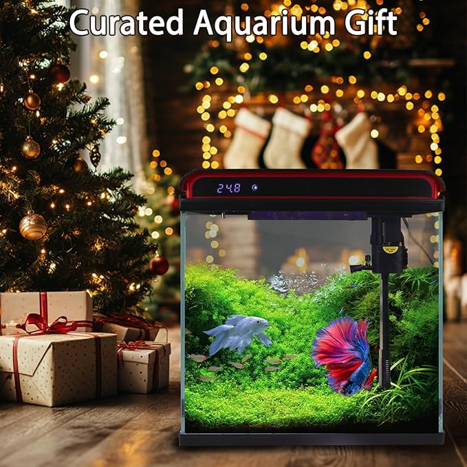 5 Gallon Fish Tank, Glass Aquarium Starter Kits