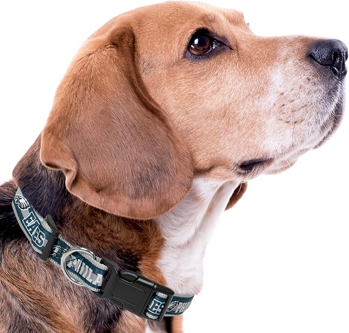 NFL PET Collar Philadelphia Eagles Dog Collar, Medium Football Team Collar for Dogs & Cats. A Shiny & Colorful Cat Collar & Dog Collar Licensed by The NFL