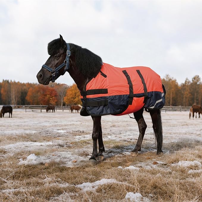 Foal/Mini Horse Size 30"-48" Waterproof & Breathable 300 Denier Winter Turnout Blanket with 150g Polyfill Fluorescencered Large