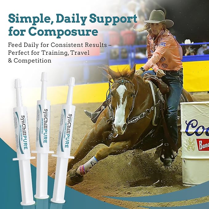 SynNutra Equine SynChill Pure 3 Pack – Non-Sedative Disposition Support for Horses – Plant-Based, Show-Safe Formula for Calm, Confident Performance – 100% Natural & Competition Safe
