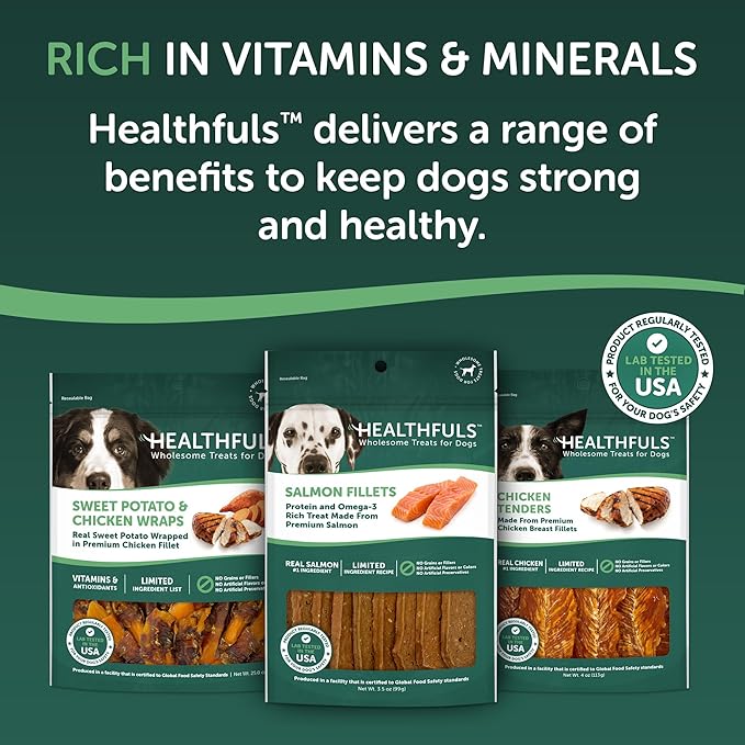 Healthfuls Salmon Fillet Dog Treats, 3.5oz