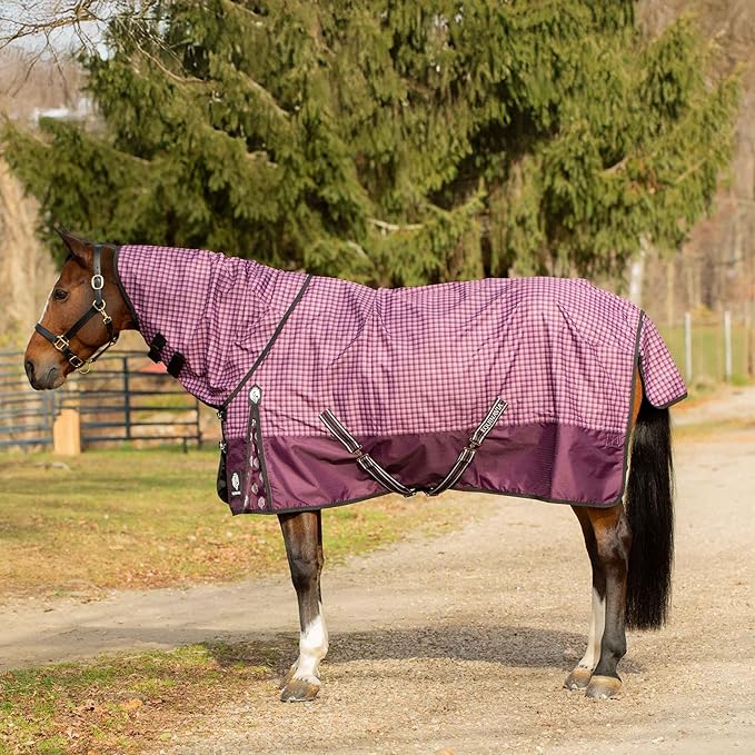 Equinavia Norse Lightweight 100g Fill Horse Rain Blanket | Waterproof Turnout Sheet - Black - 66 in - Plum Wine/Orchid Haze - 69 in