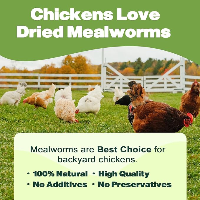 Dried Mealworms 2 LBS-100% Natural Non GMO High Protein Treat for Chicken & Wild Birds, Plus Small Pets