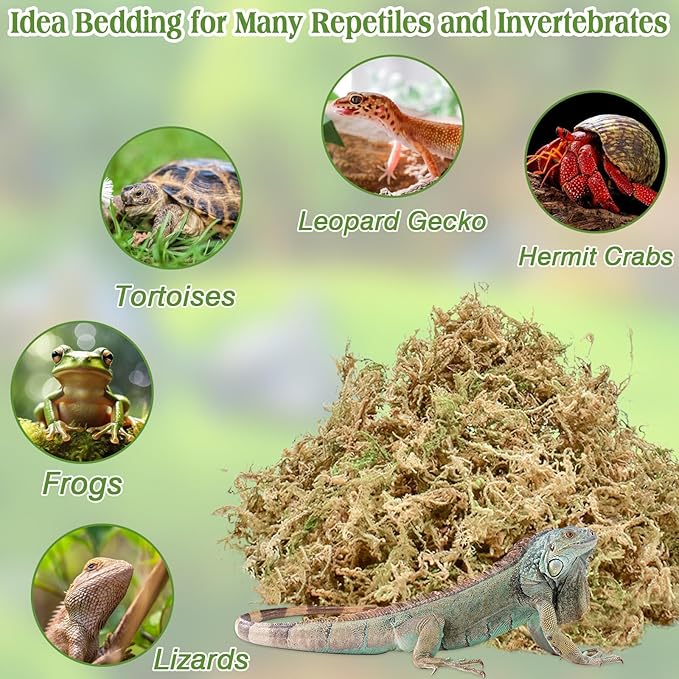 Halatool 9OZ Natural Sphagnum Moss for Reptiles Premium Reptile Moss Ideal Terrarium Moss for Box Turtles Hermit Crabs Leopard Gecko Snakes and Hamsters Enclosure