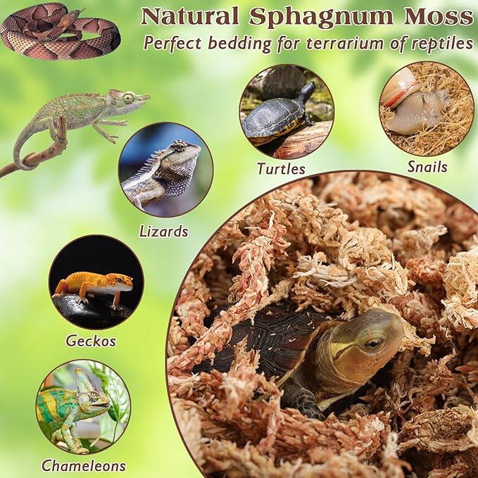 ZeeDix 2.2LBS Premium Sphagnum Moss for Reptiles, 50QT Dried Moss for Terrarium Long Fibered Leopard Gecko Moss Natural Sphagnum Peat Moss Bedding for Frogs Anoles Snake Turtle Plants