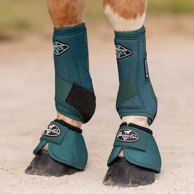 Professional's Choice 2XCOOL Sports Medicine Horse Boots | Protective & Breathable Design for Ultimate Comfort & Durability in Active Horses | Value 4 Pack | Medium Emerald