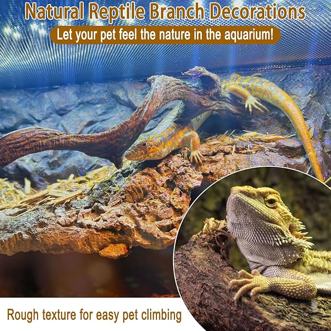 BNOSDM Reptile Forest Climbing Branch Decor Crested Gecko Climb Wood Natural Branches Tree for Snake Frog Chameleon Spider Bearded Dragon Terrarium Habitat Tank Accessories,3PCS