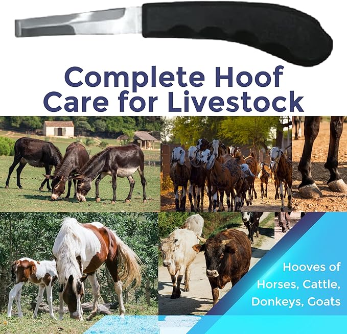 Regular Hoof Knife for Horses – Farrier Tool with Plastic Grip – Hoof Trimming Knife for Equine Care & Veterinary Use (Semi-Wide Blade)