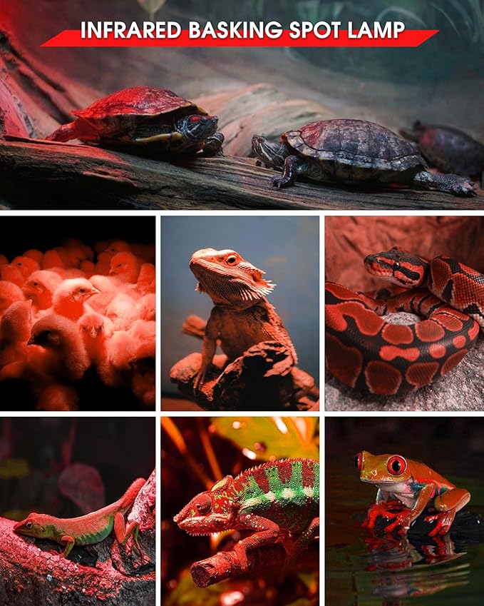EvaStary 100W Infrared Heat Lamp Bulbs, 2 Pack UVA Reptile Basking Spot Light for Reptiles, Red Heat Lamp Bulb for Bearded Dragon,Turtle,Snake, Chickens, Pets