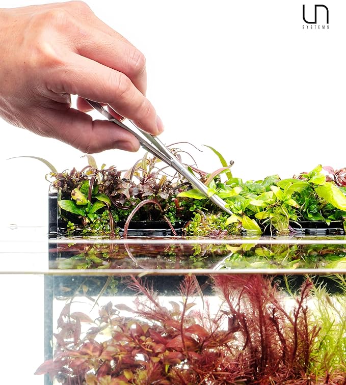 UNS Aquascaping Tools - Stainless Steel Rust Resistant Freshwater Planted Tank Saltwater Reef Aquarium Maintenance Accessory - Trimming Stem & Carpets, Coral Cutting - Straight Spring Scissors, Silver