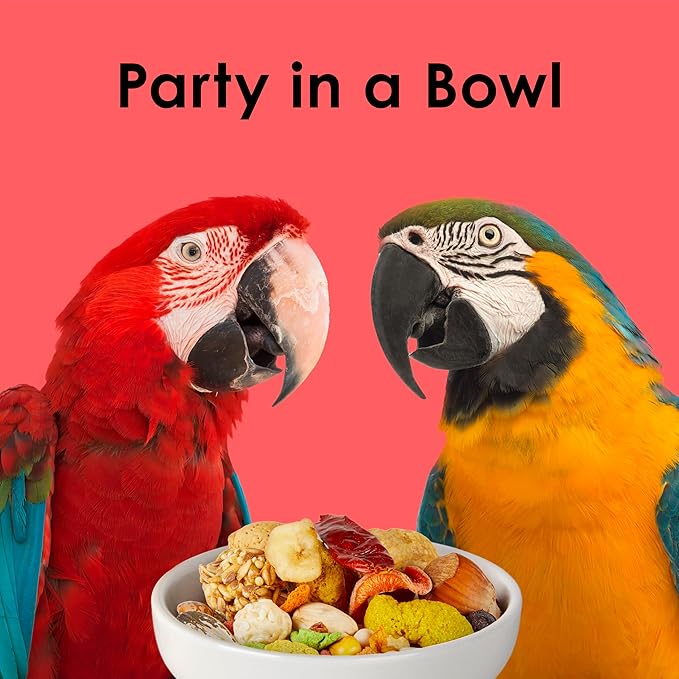 Kaytee Fiesta Macaw Food, Nutritious and Fun Blend, Supports Skin, Feather, Digestion, Brain and Heart Health, 4.5 pounds